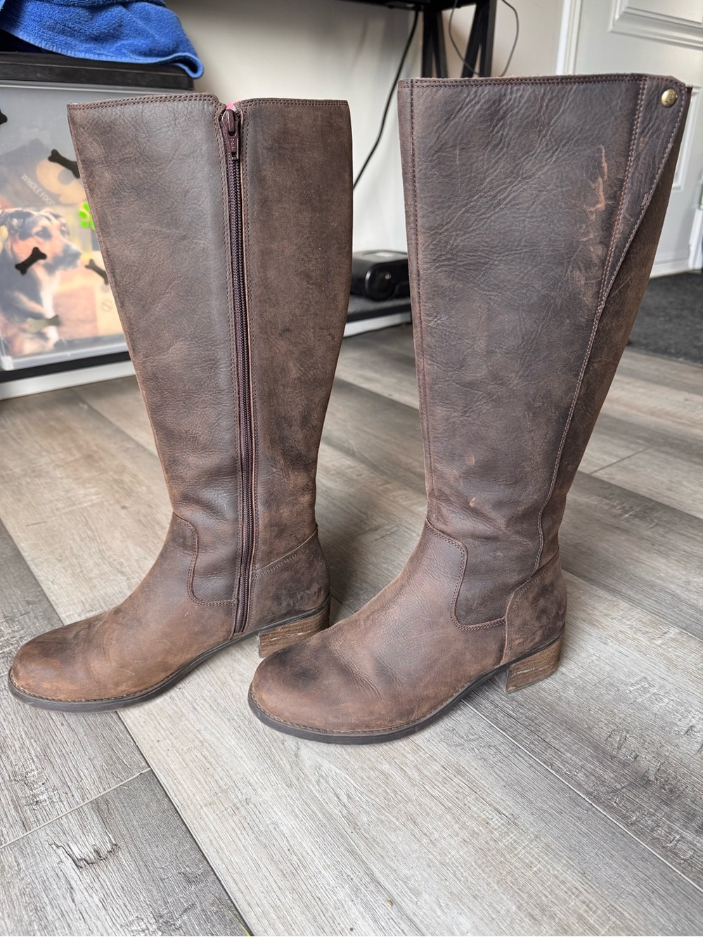 Hush Puppies Distressed Brown Leather Tall Riding boot - Picture 2 of 4